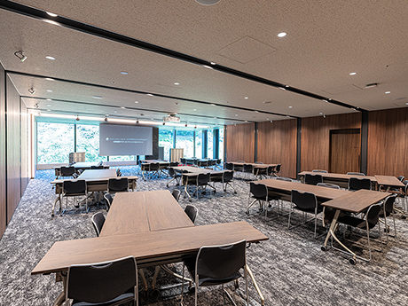 島形式のイメージ